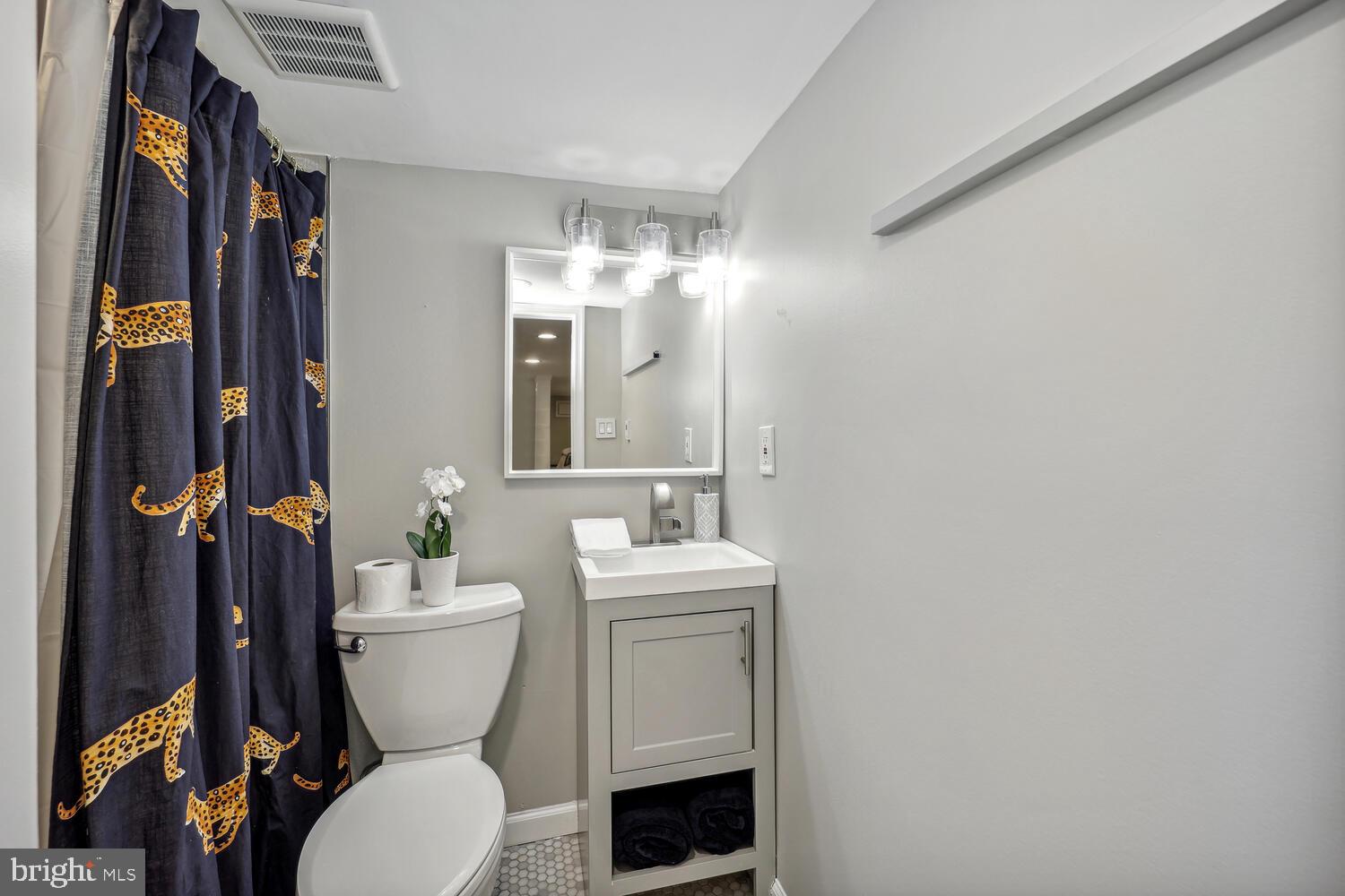 313 Adams Street Northeast Washington, DC 20002 - Photo 26 of 37 Third full bath with a tub in lower level.