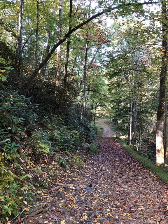 0 Mack Noblitt Road Old Fort, NC 28762 - Photo 3 of 34 Gallery Image 3