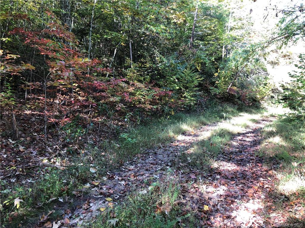 0 Mack Noblitt Road Old Fort, NC 28762 - Photo 29 of 34 Gallery Image 29
