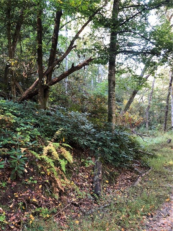 0 Mack Noblitt Road Old Fort, NC 28762 - Photo 5 of 34 Gallery Image 5