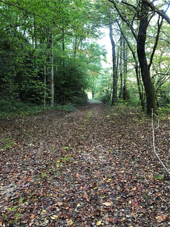 0 Mack Noblitt Road Old Fort, NC 28762 - Photo 9 of 34 Gallery Image 9