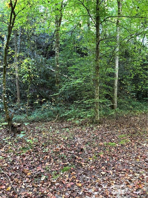 0 Mack Noblitt Road Old Fort, NC 28762 - Photo 10 of 34 Gallery Image 10