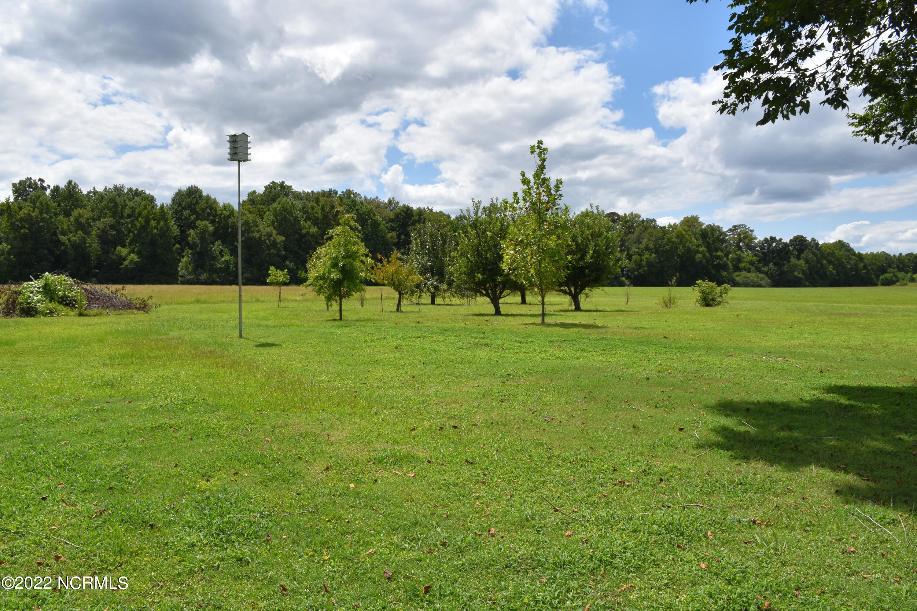 480 Blackbeards View Bath, NC 27808 - Photo 12 of 79 Front/Side Yard