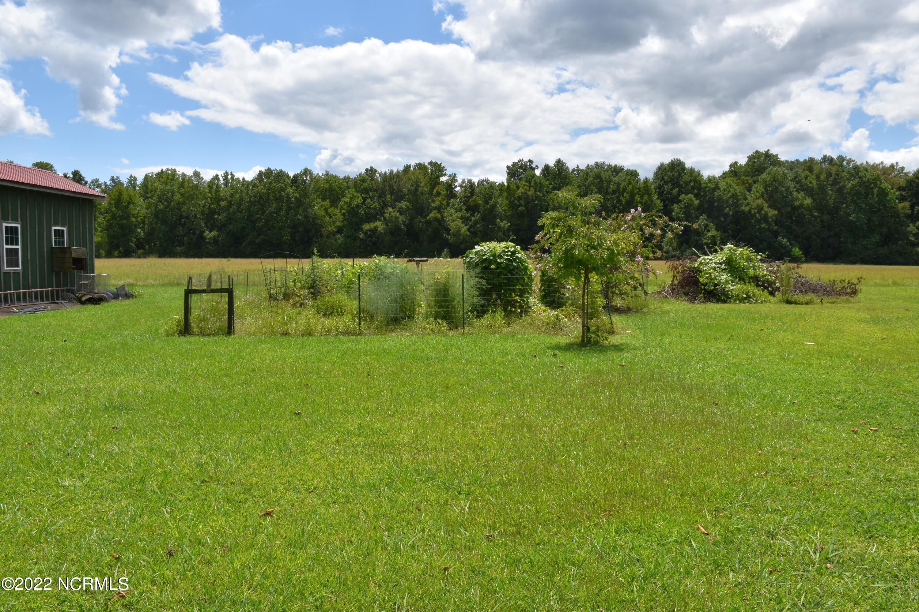 480 Blackbeards View Bath, NC 27808 - Photo 13 of 79 Lots of room for a large garden