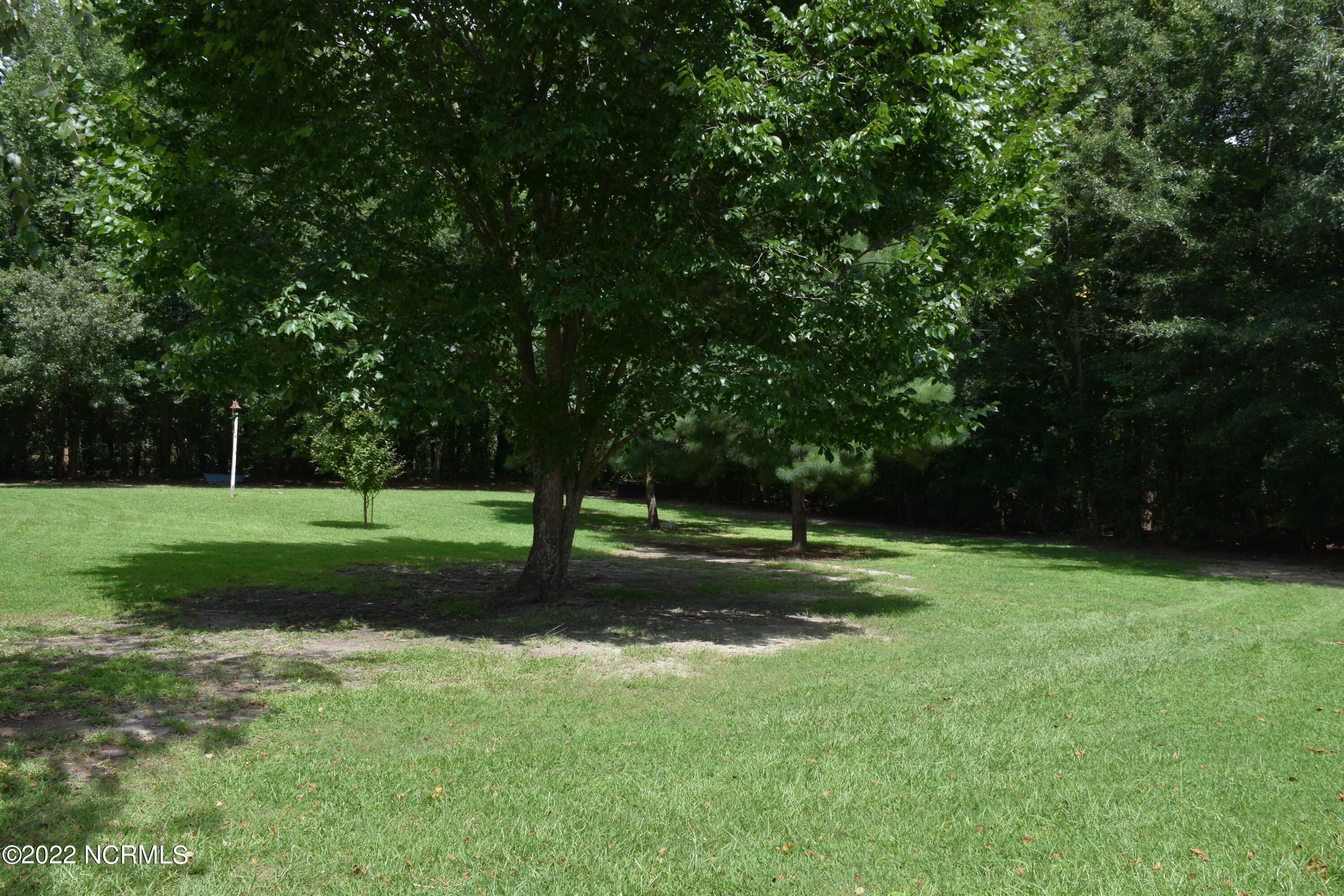 480 Blackbeards View Bath, NC 27808 - Photo 23 of 79 Mature Trees