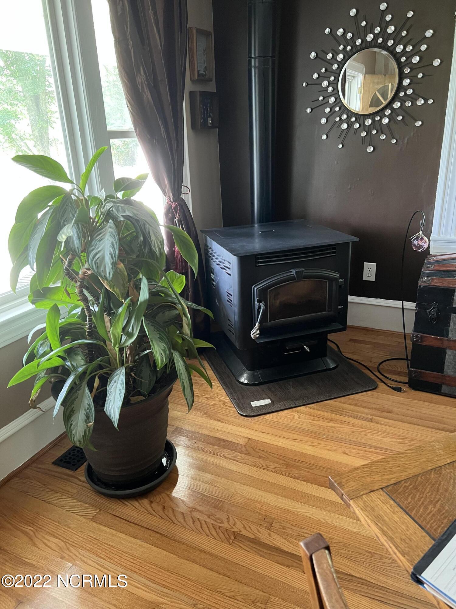 480 Blackbeards View Bath, NC 27808 - Photo 38 of 79 Wood Pellet Stove