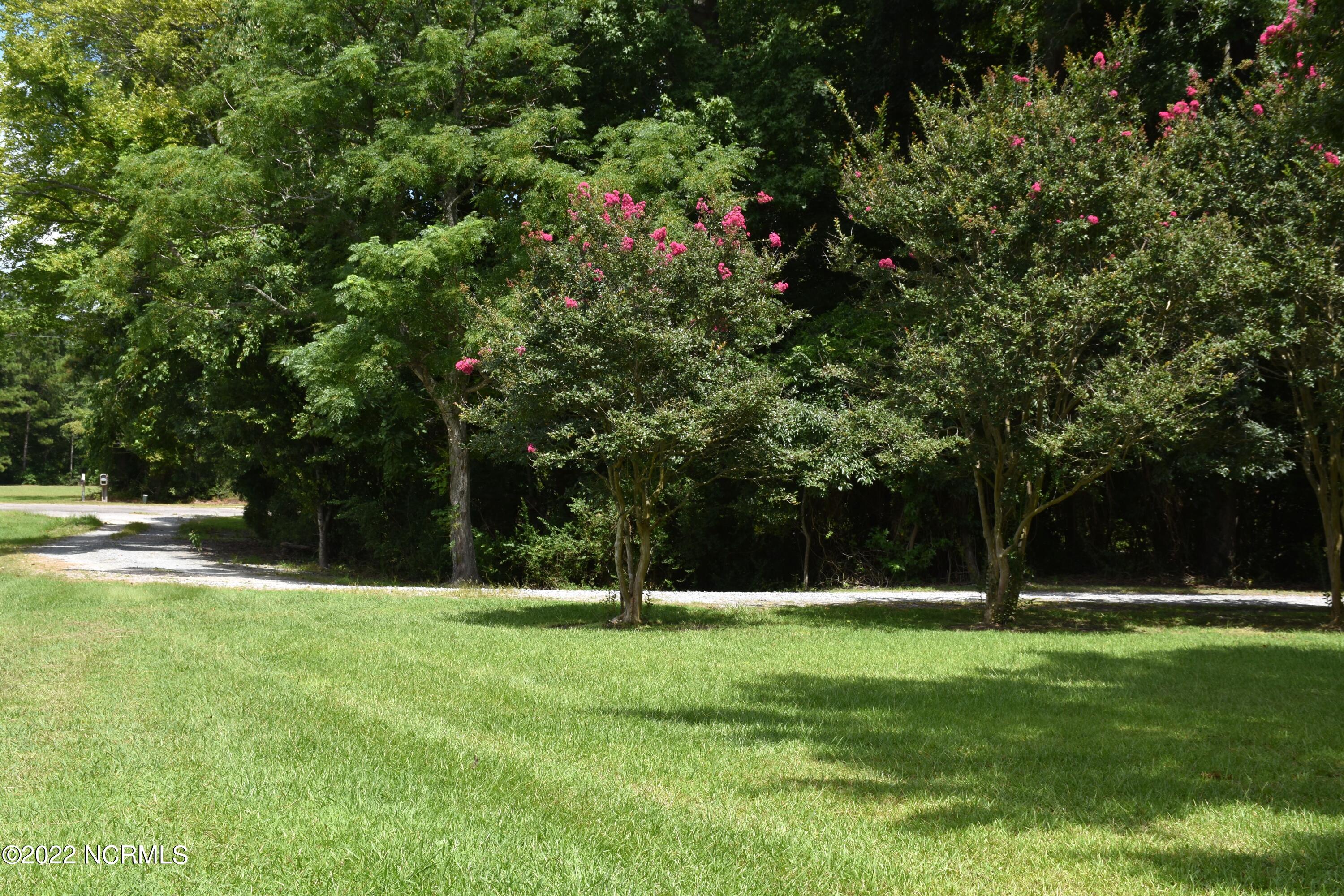 480 Blackbeards View Bath, NC 27808 - Photo 6 of 79 Driveway lined with Crepe Myrtle trees