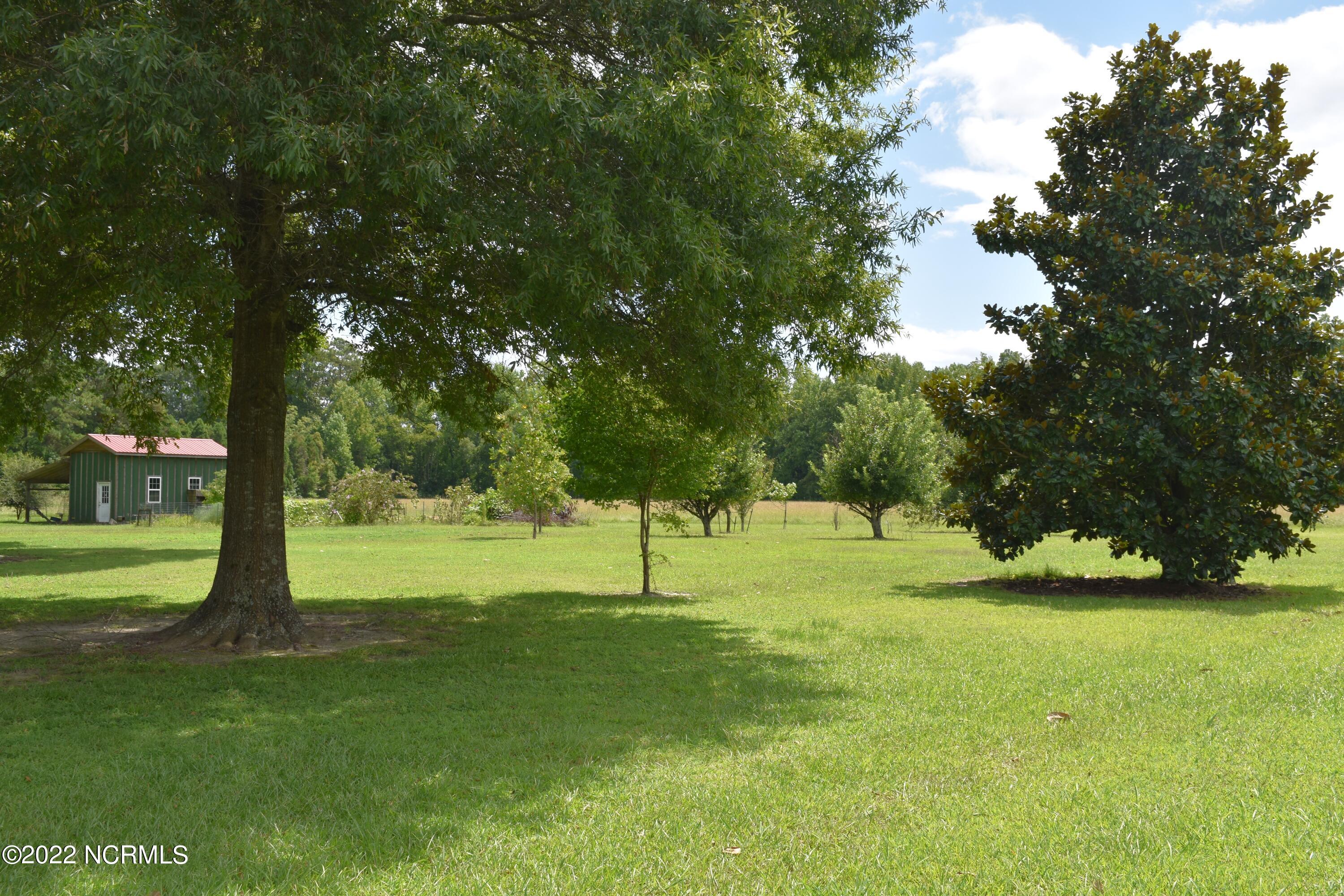480 Blackbeards View Bath, NC 27808 - Photo 10 of 79 Front/Side Yard