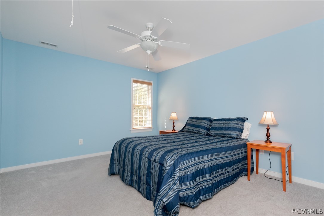 3607 Bailey Farm Road Moseley, VA 23120 - Photo 24 of 40 Gallery Image 24
