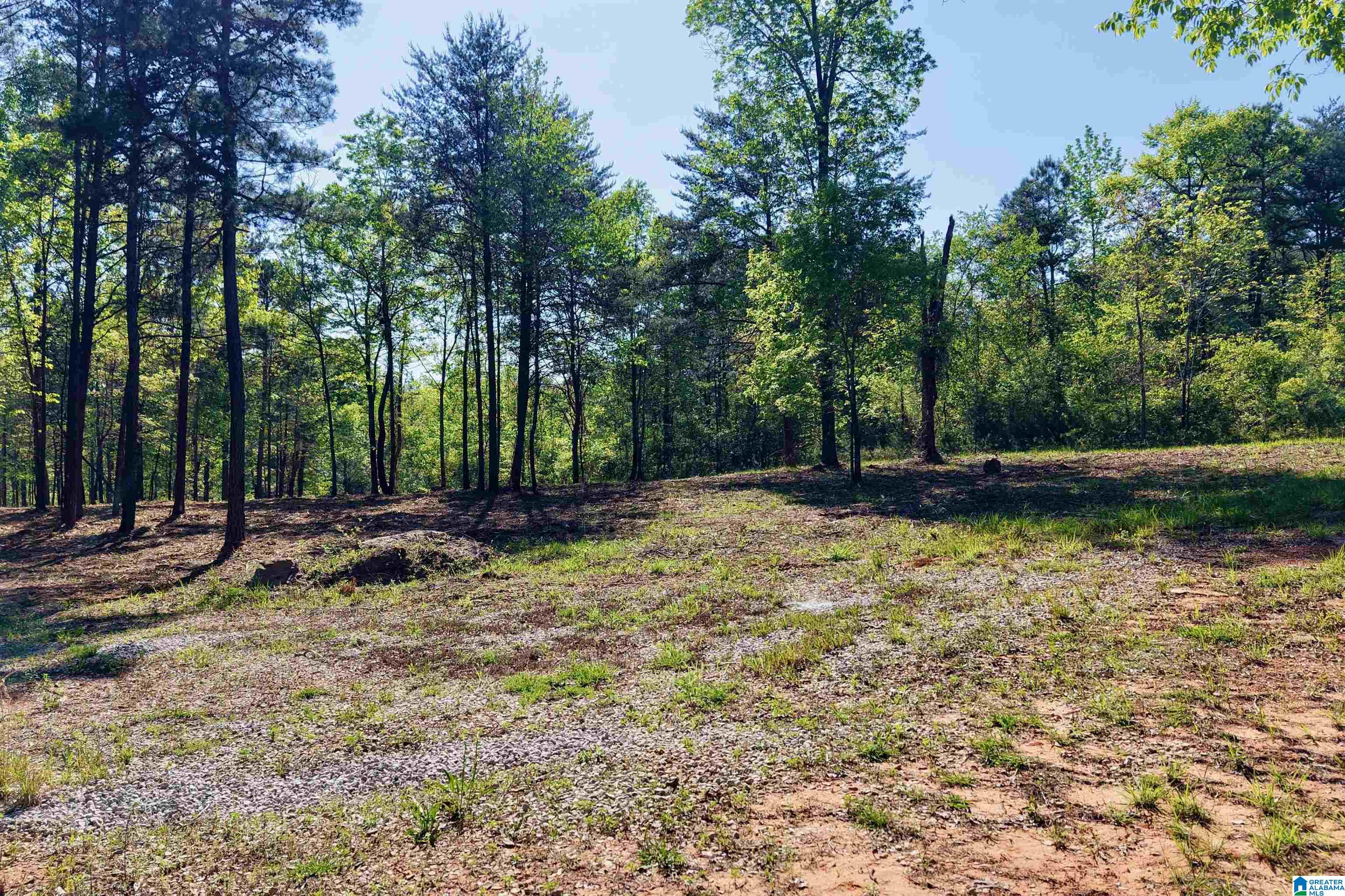 246 Spring Water Farms, Unit 2 Helena, AL 35022 - Photo 6 of 25