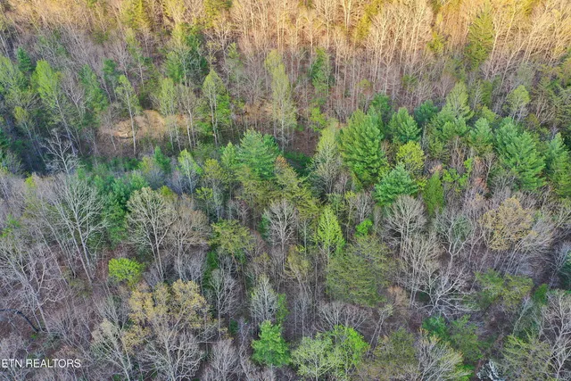 $379,200 | Brimstone Road, Robbins, TN 37852