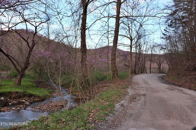 $379,200 | Brimstone Road, Robbins, TN 37852