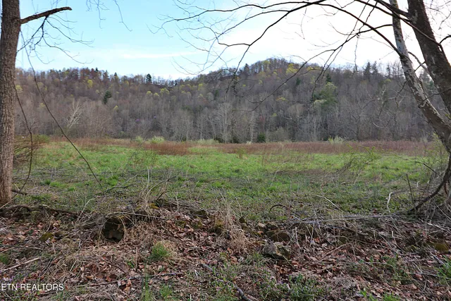 $379,200 | Brimstone Road, Robbins, TN 37852