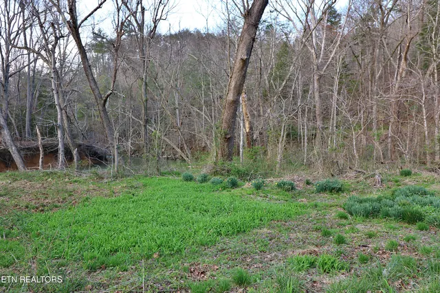 $379,200 | Brimstone Road, Robbins, TN 37852