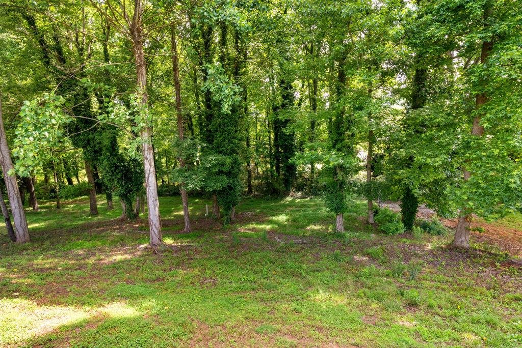 3604 Maple Forge Lane Gainesville, GA 30504 - Photo 47 of 59