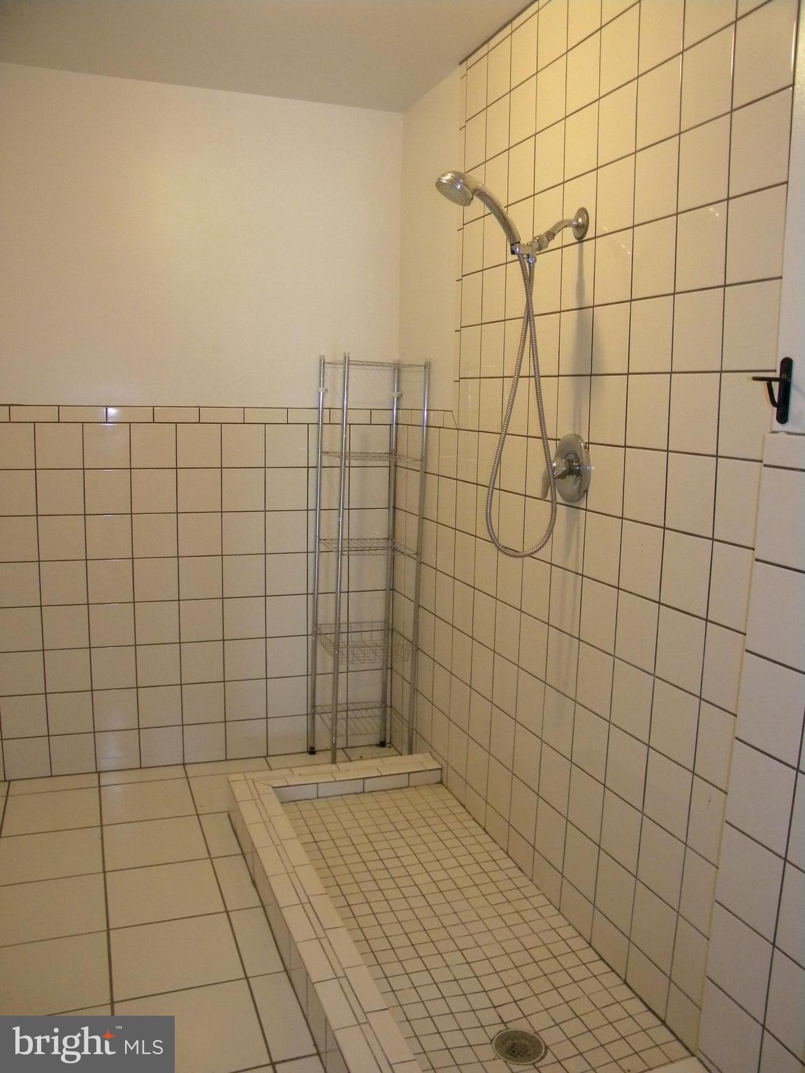 3016 Partlow Road Partlow, VA 22534 - Photo 24 of 30 Animal shower! Don't see that everyday!