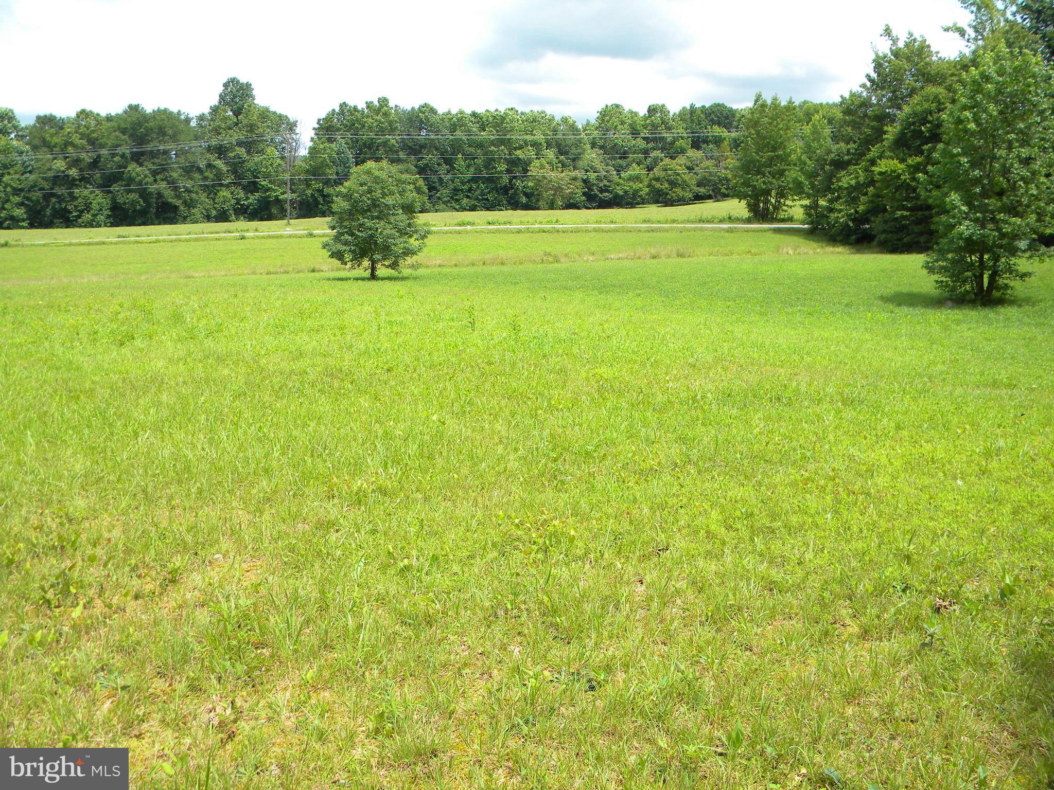 3016 Partlow Road Partlow, VA 22534 - Photo 28 of 30 View of side from home!
