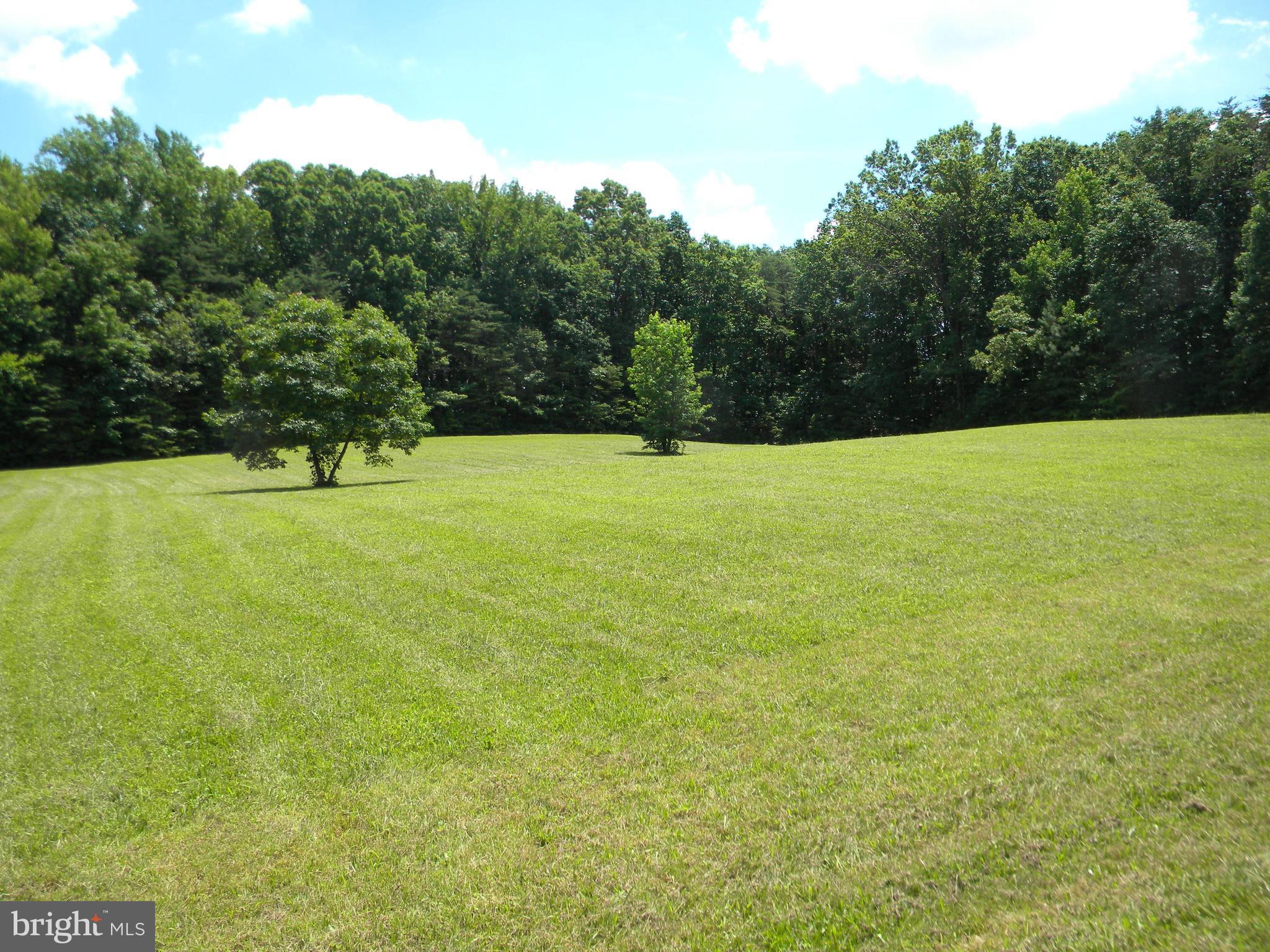 3016 Partlow Road Partlow, VA 22534 - Photo 29 of 30 View of yard from driveway!