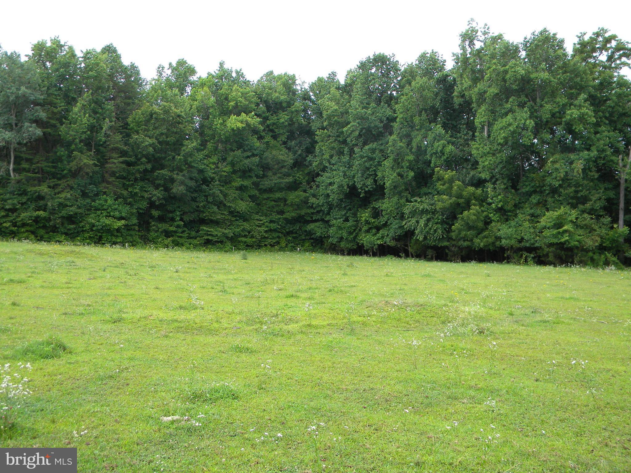 3016 Partlow Road Partlow, VA 22534 - Photo 30 of 30 Back pasture!