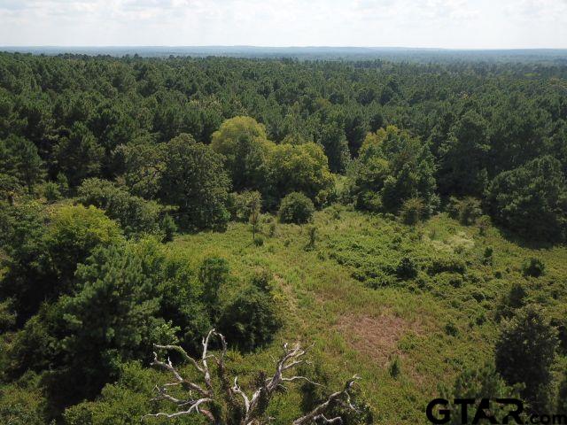 2218 County Road 2218 Rusk, TX 75785 - Photo 2 of 9 a view of a forest with a street
