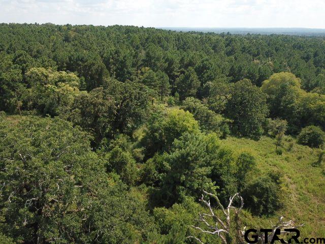 2218 County Road 2218 Rusk, TX 75785 - Photo 3 of 9 a view of a forest with a street