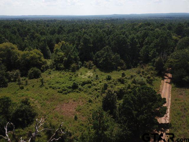 2218 County Road 2218 Rusk, TX 75785 - Photo 4 of 9 a view of a lush green forest with trees and some trees