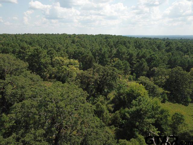 2218 County Road 2218 Rusk, TX 75785 - Photo 5 of 9