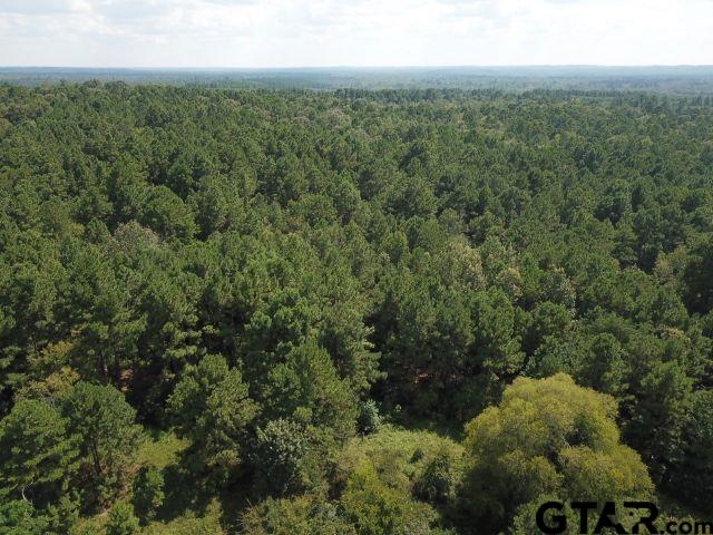 2218 County Road 2218 Rusk, TX 75785 - Photo 7 of 9 a view of a city with lush green forest