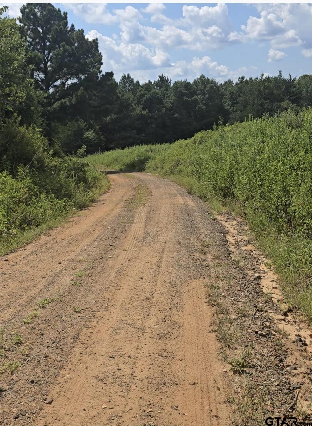 2218 County Road 2218 Rusk, TX 75785 - Photo 9 of 9 a view of a road with a yard