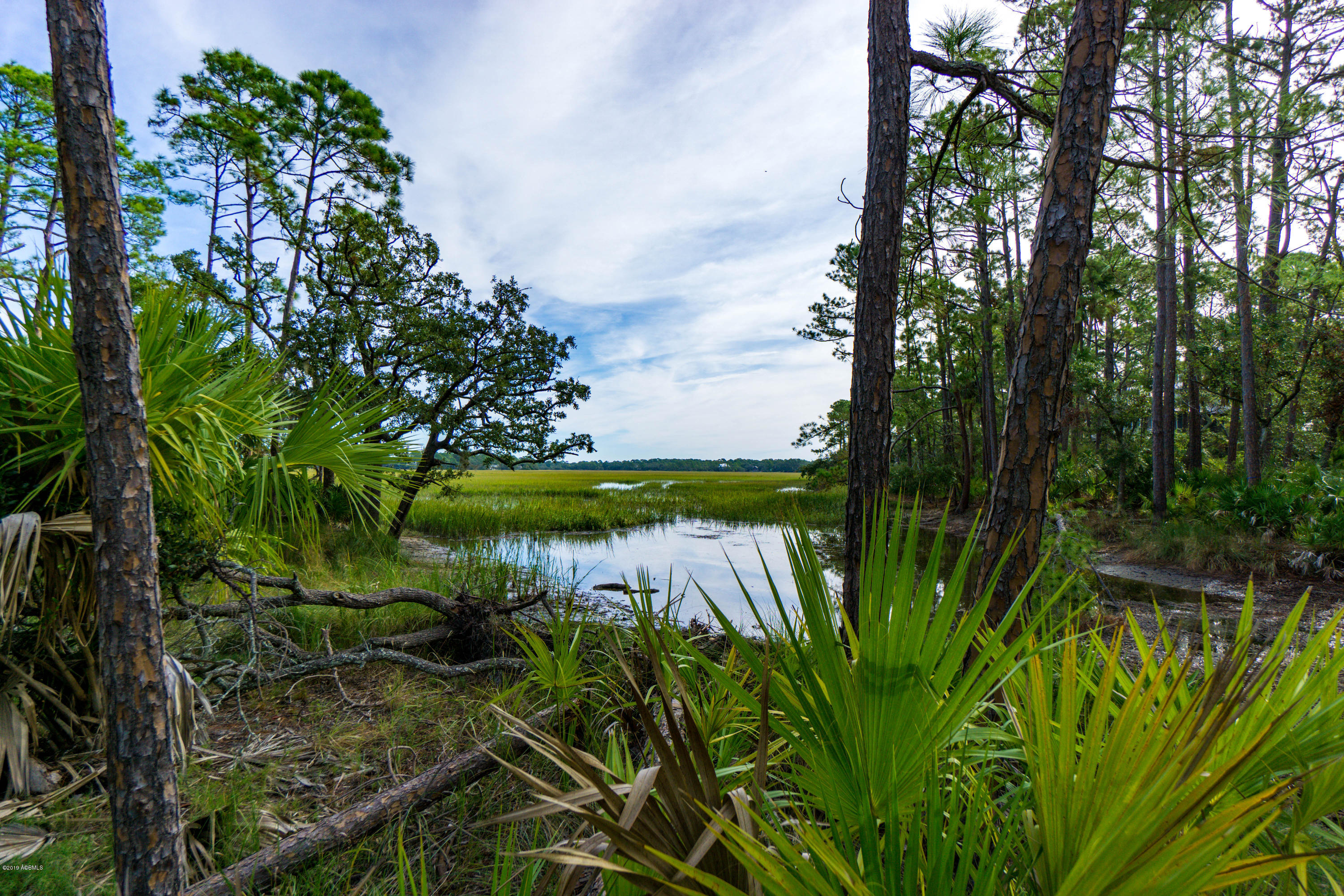 376 Blue Gill Road Fripp Island, SC 29920 - Photo 30 of 43 DSC09208