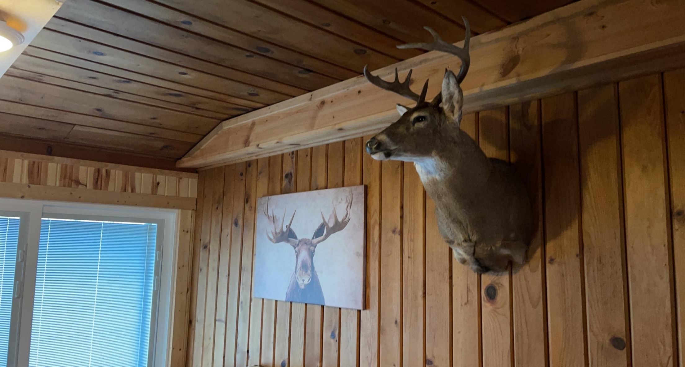 2940 Wolverine Road East Tawas, MI 48730 - Photo 22 of 26 1898753-21.JPG