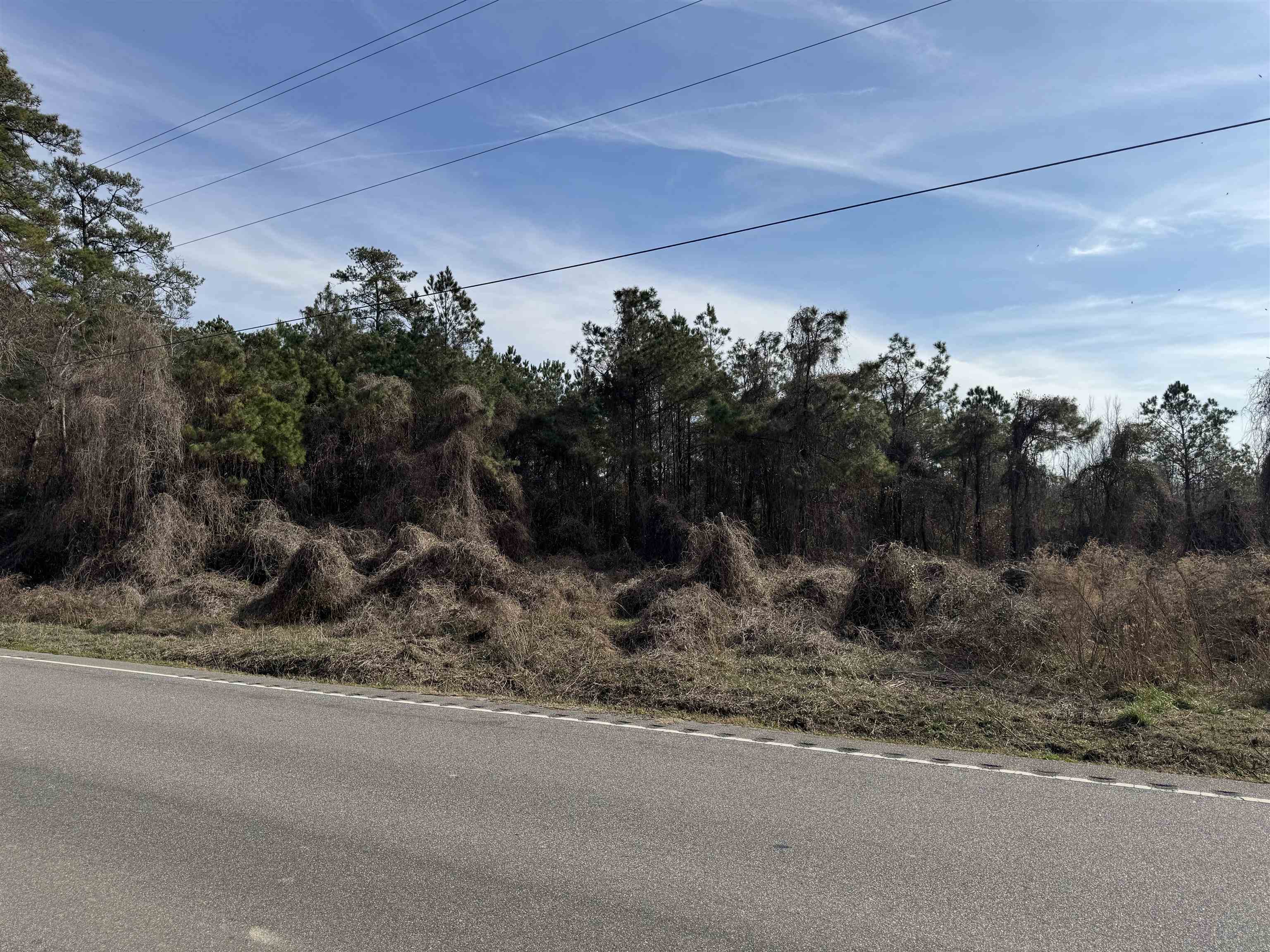 2 North Highway 905 Longs, SC 29568 - Photo 2 of 2