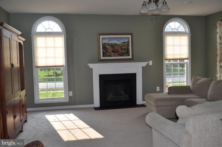 9002 Roaring Spring Loop Bristow, VA 20136 - Photo 11 of 23 Family Room