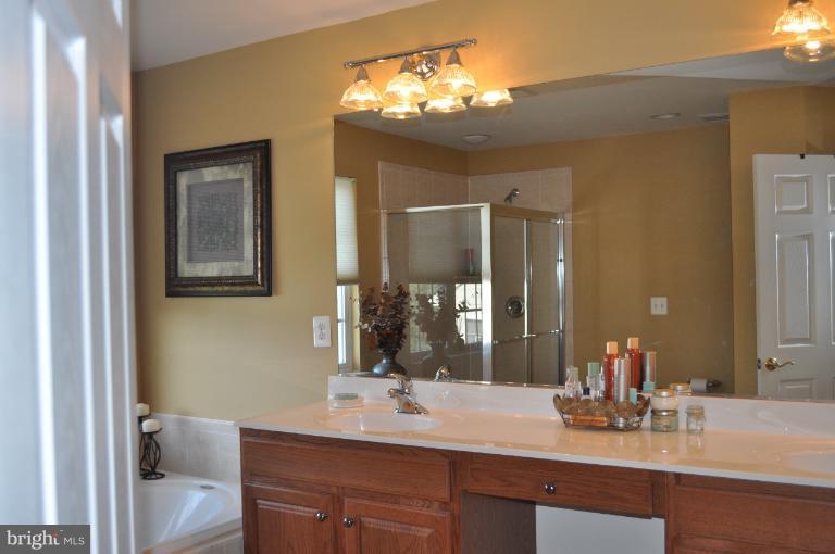9002 Roaring Spring Loop Bristow, VA 20136 - Photo 15 of 23 Bath (Master)