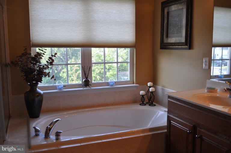 9002 Roaring Spring Loop Bristow, VA 20136 - Photo 22 of 23 Bath (Master)