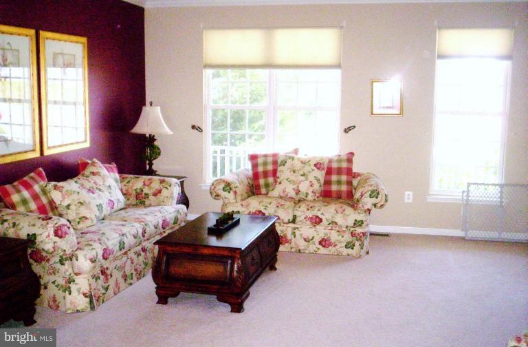 9002 Roaring Spring Loop Bristow, VA 20136 - Photo 4 of 23 Living Room