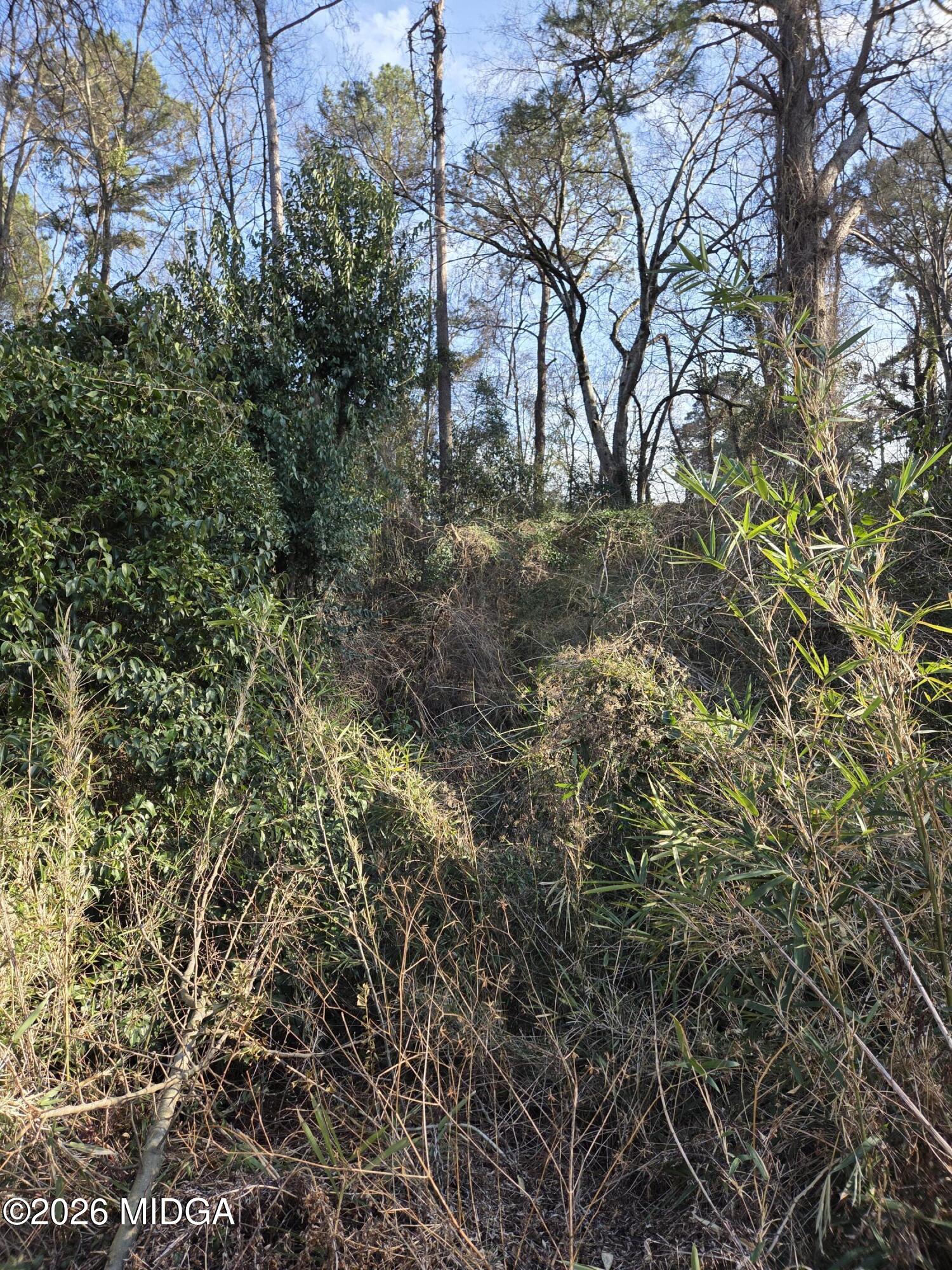 1987 Long Ridge Drive Macon, GA 31211 - Photo 3 of 3 1000017609