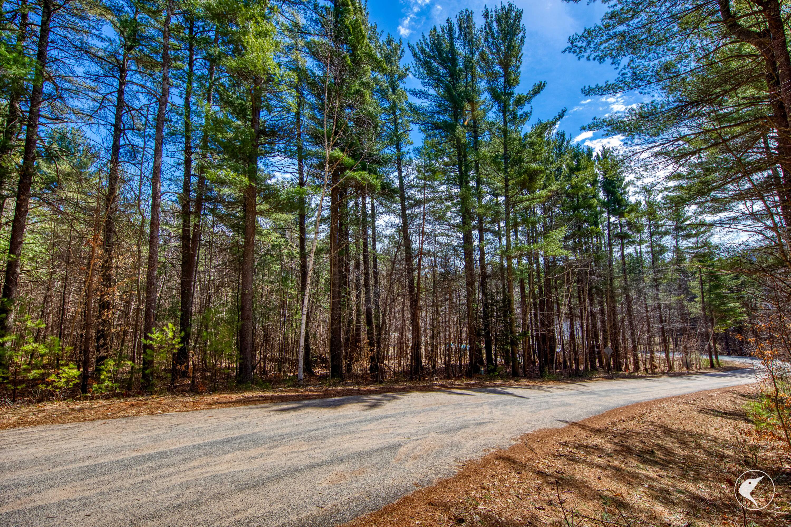 0 Pine Ridge Road Wilmington, NY 12997 - Photo 4 of 10 AA7A3600