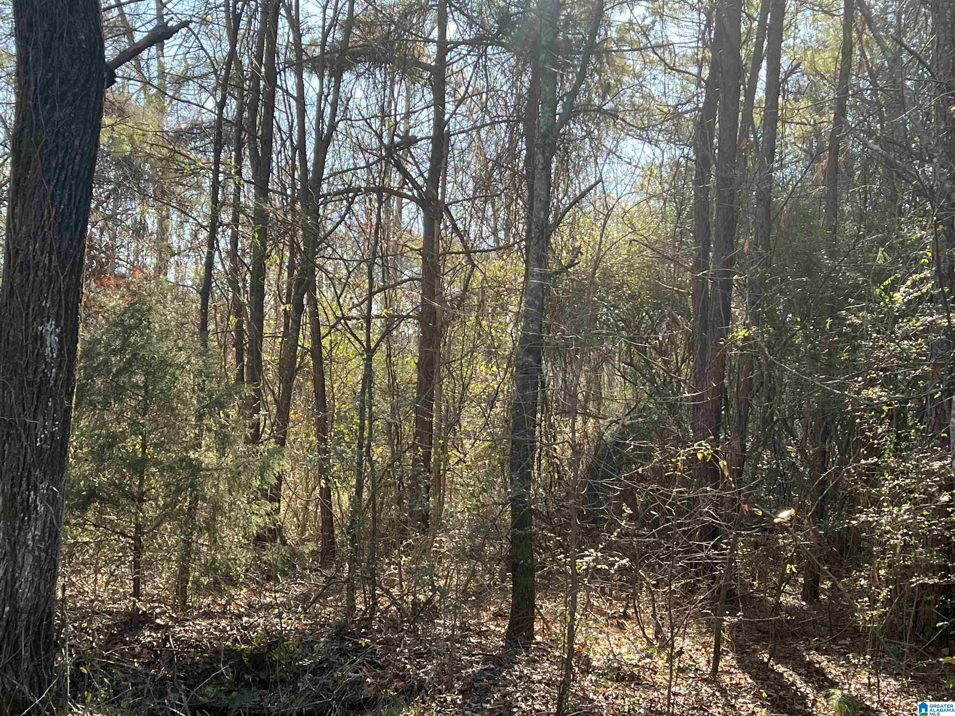 0 Altoona Cutoff Road, Unit 47 5 Oneonta, AL 35121 - Photo 16 of 36