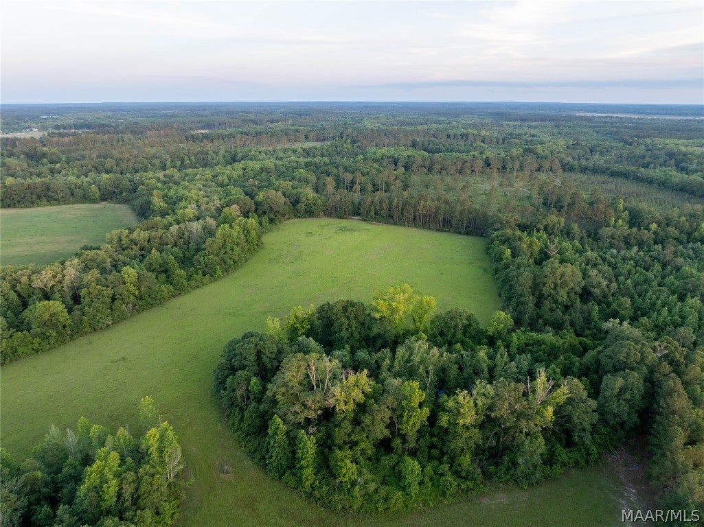 921 Mixon Miller Road Samson, AL 36477 - Photo 17 of 54 Gallery Image 17