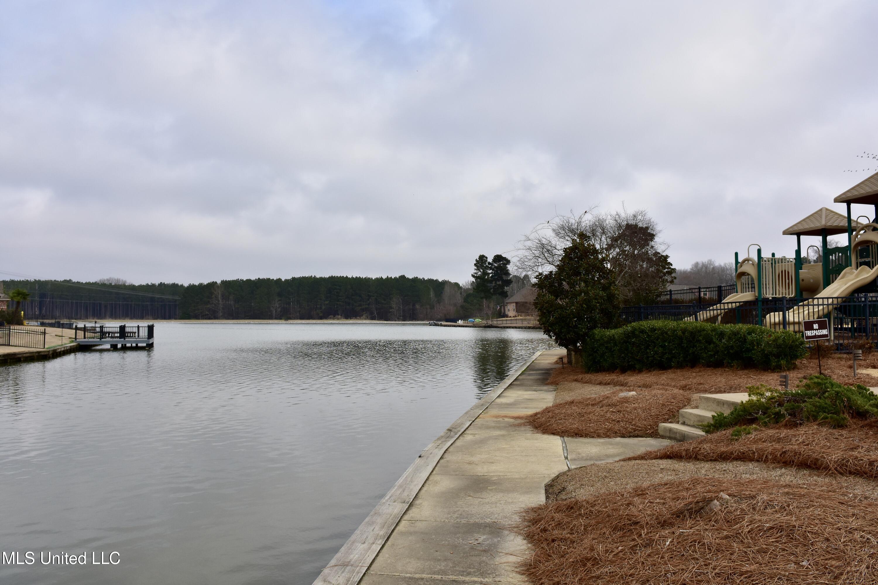 103 Quarles Drive Madison, MS 39110 - Photo 28 of 37 23