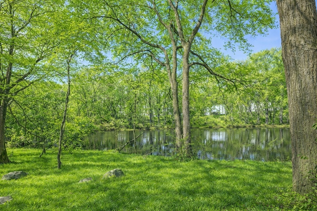 58 Solomon Pierce Road Lexington, MA 02420 - Photo 3 of 34