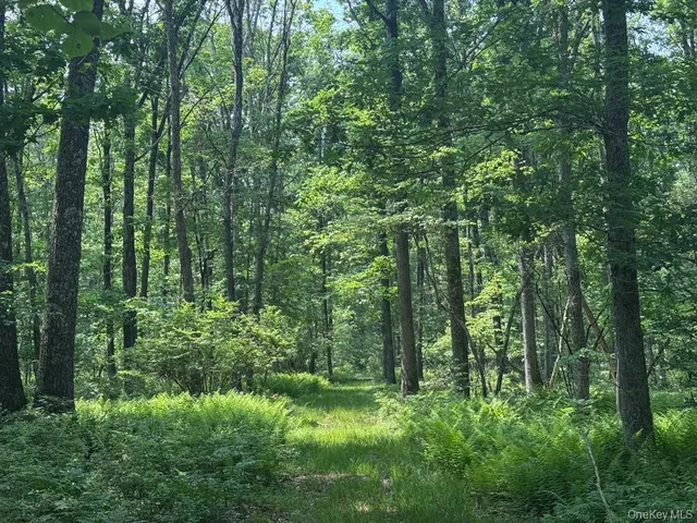 $795,000 | 367 Cushetunk Drive, Cochecton, NY 12764