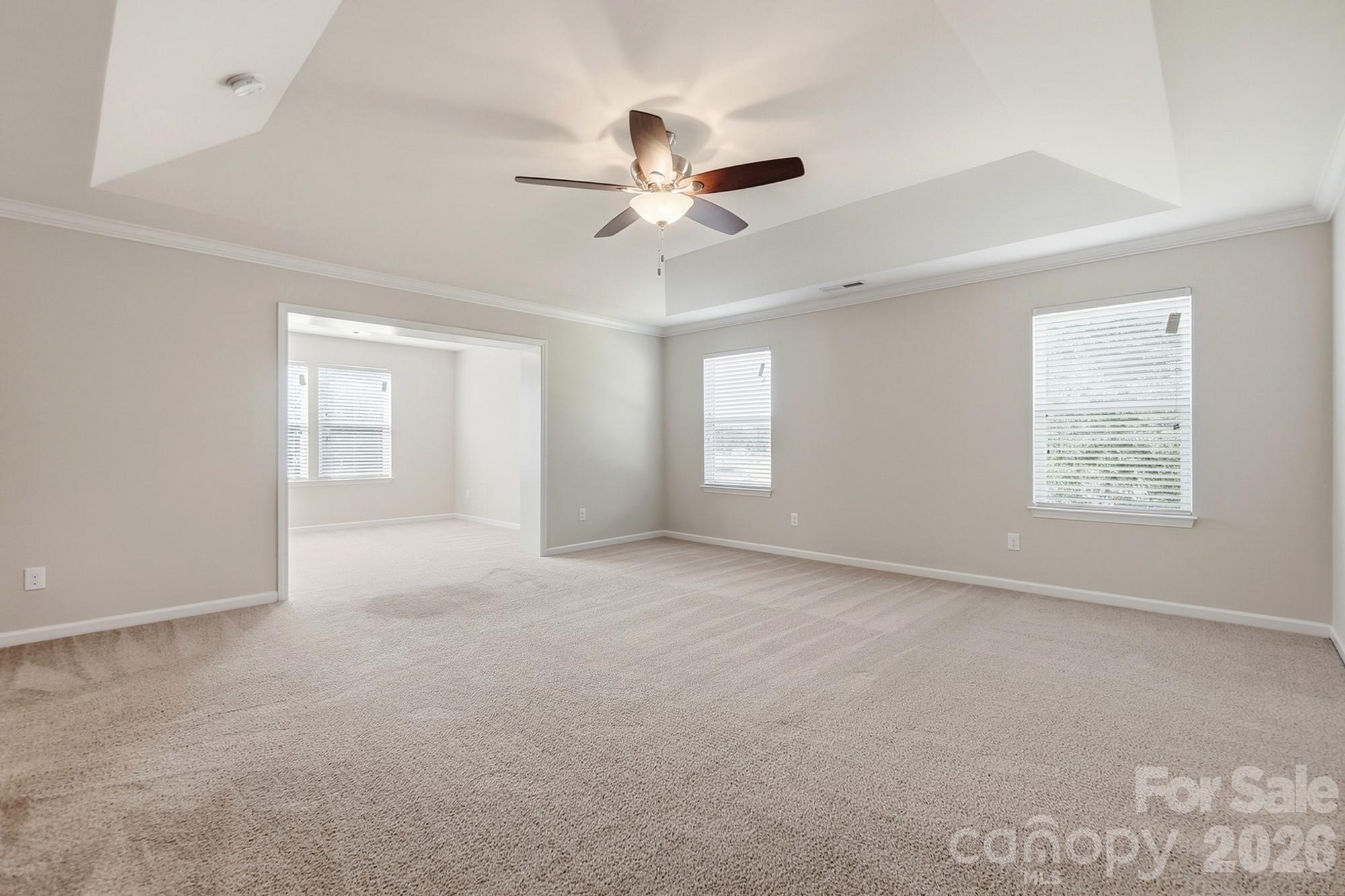 3537 Arnica Court Fort Mill, SC 29708 - Photo 29 of 48