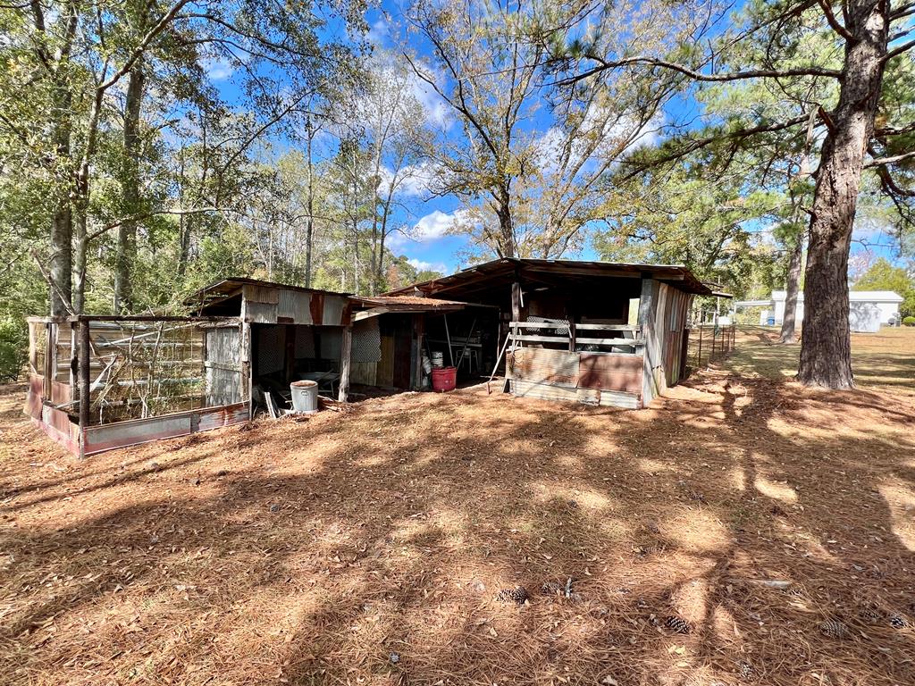 1531 Hornsby Road Samson, AL 36477 - Photo 31 of 41