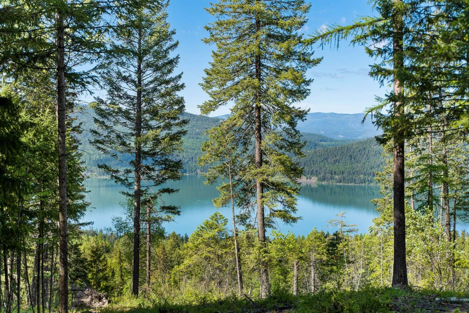 121 Whitefish Lookout Road Whitefish, MT 59937 - Photo 1 of 1 Gallery Image 1