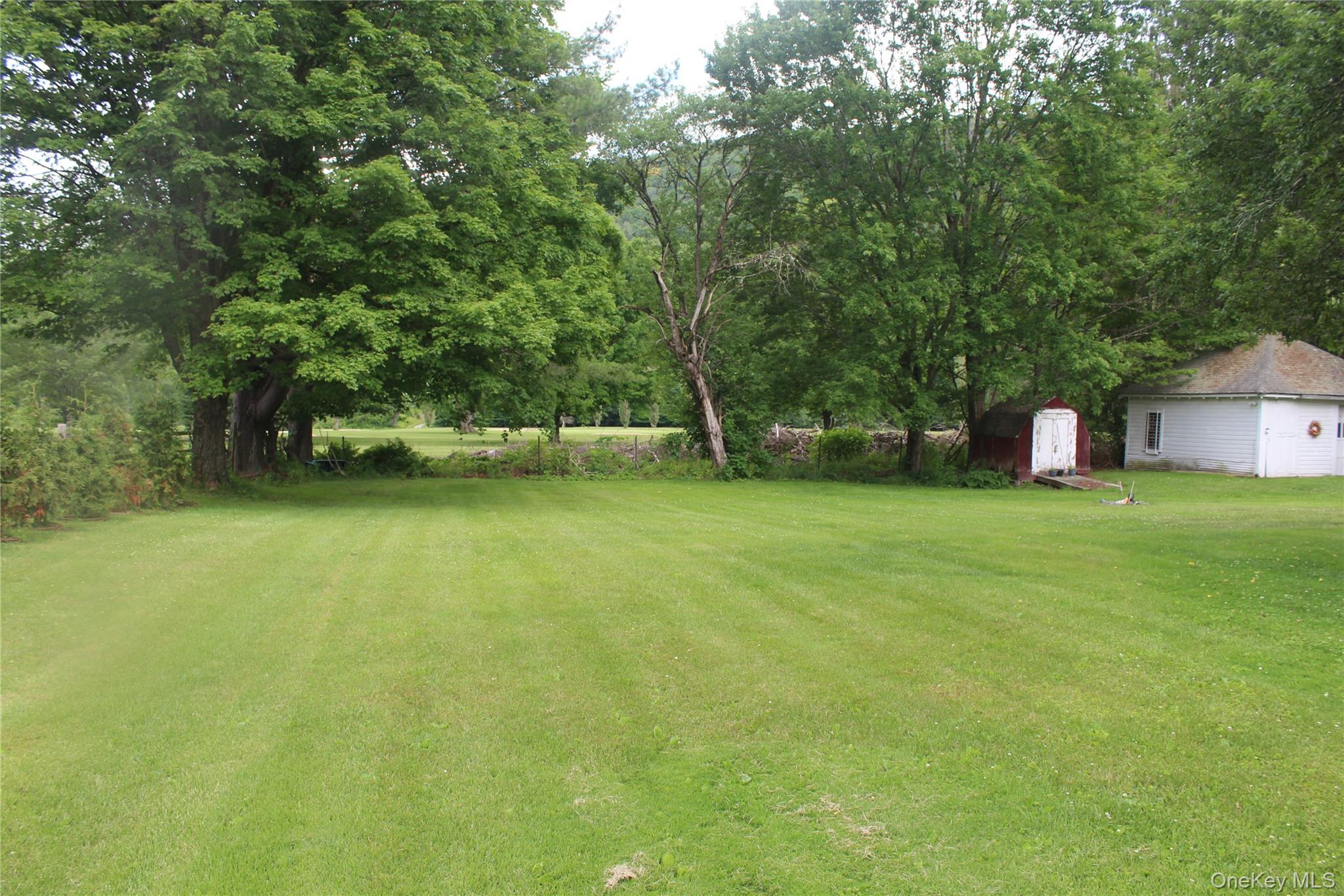 196 Rockland Road Roscoe, NY 12776 - Photo 6 of 38 Expansive green lawn framed by mature trees