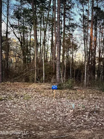 $125,685 | 140 Apollo Way, Canton, MS 39046