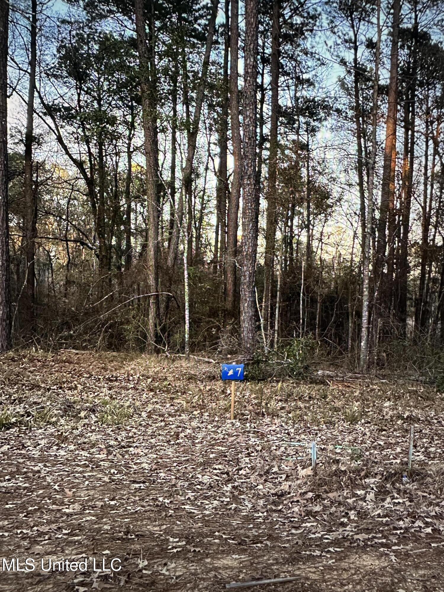 140 Apollo Way Canton, MS 39046 - Photo 3 of 8 Expedition Point lot 7
