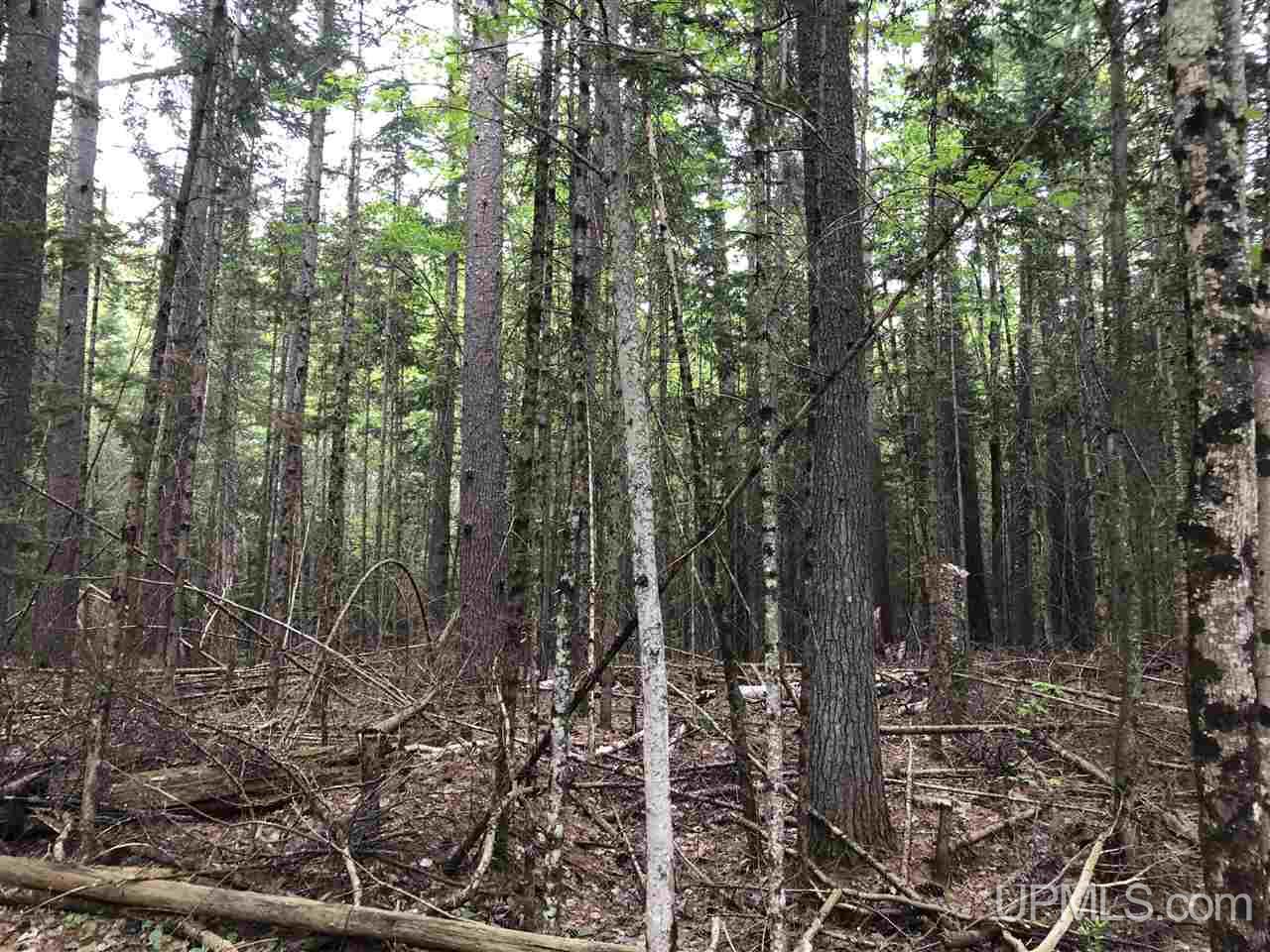 Tbd River Road, Unit PARCEL 3 Gulliver, MI 49854 - Photo 20 of 42